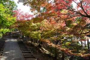 最上山公園の紅葉２